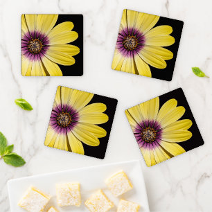 Yellow African Daisy on Black Floral Coaster Set