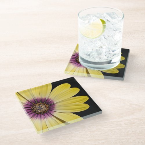 Yellow African Daisy on Black Floral Glass Coaster