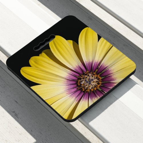 Yellow African Daisy on Black Floral Seat Cushion