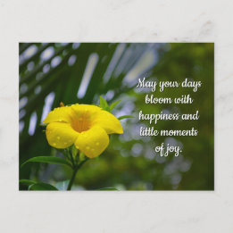 Yellow Allamanda Flower with Water Drops Postcard
