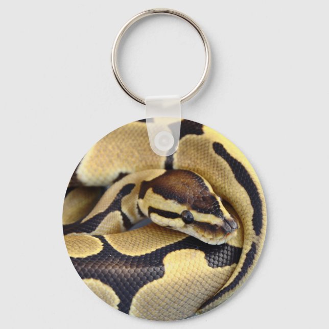 Yellow and Black Ball Python 3 Keychain (Front)
