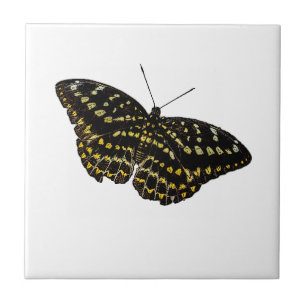 Yellow and Black Butterfly Art Nature Drawing Ceramic Tile