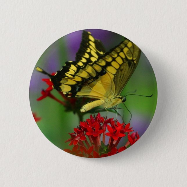 Yellow and Black Butterfly Button (Front)