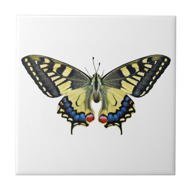 Yellow and black butterfly   ceramic tile (Front)
