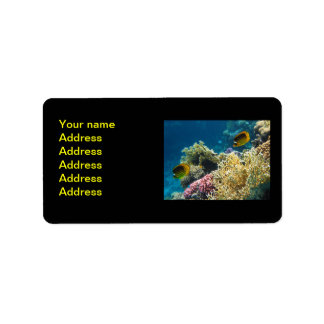 Yellow and Black Butterfly Fish Label