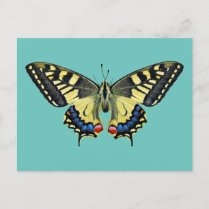 Yellow and black butterfly postcard