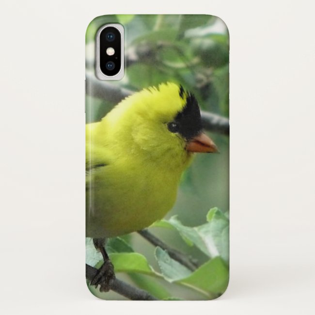 Yellow and Black Goldfinch iPhone X Case