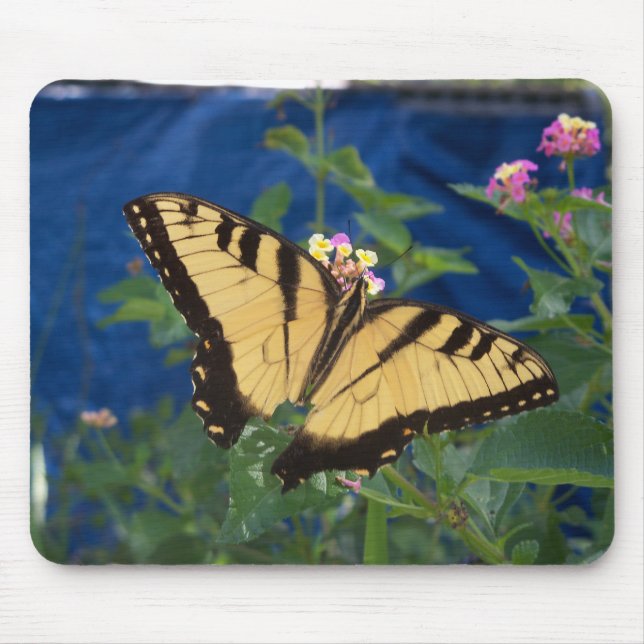 Yellow and black Swallowtail Butterfly Mouse Pad (Front)
