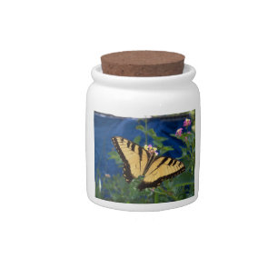 Yellow and black swallowtail butterfly on a candy jar