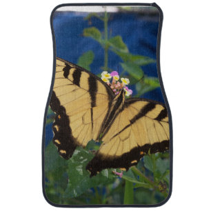 Yellow and black swallowtail butterfly on a car floor mat