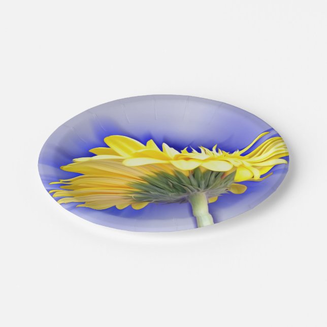 Yellow and blue paper plates (Angled)