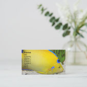 Yellow and Blue Queen Angelfish Photo Business Card (Standing Front)