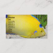 Yellow and Blue Queen Angelfish Photo Business Card (Front)