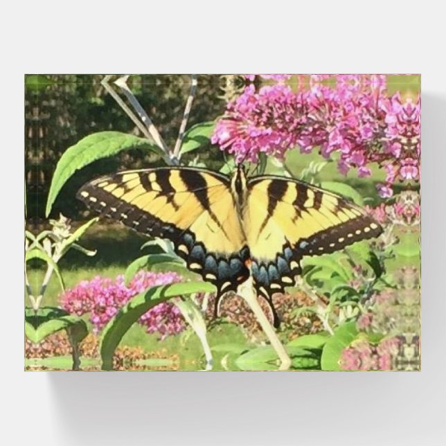 Yellow and Blue Swallowtail Butterfly Pink Flowers Paperweight (Front)
