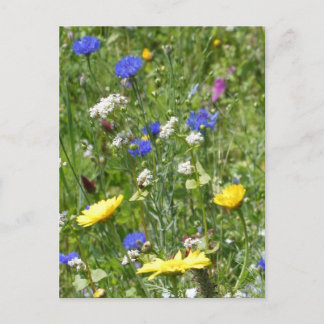 Yellow and Blue Wildflowers DIY Postcard