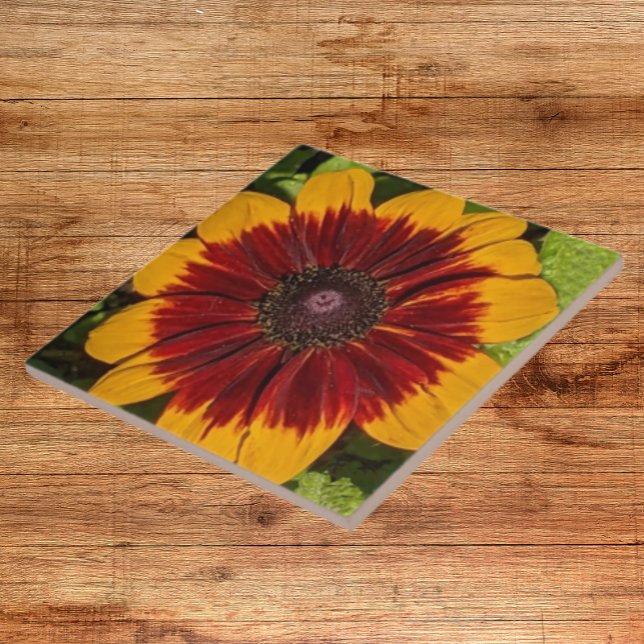 Yellow and Bronze Rudbeckia Floral Ceramic Tile (In Situ)