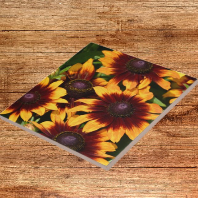 Yellow and Bronze Rudbeckias Floral Ceramic Tile (In Situ)