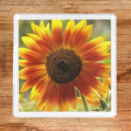 Yellow and Bronze Sunflower Floral Acrylic Tray