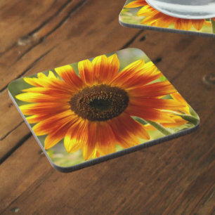 Yellow and Bronze Sunflower Floral Beverage Coaster