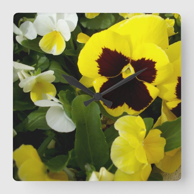 Yellow And Brown Pansies, Square Wall Clock (Front)