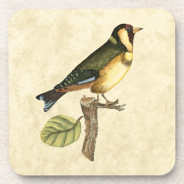 Yellow and Green Bird Perched on a Little Branch Beverage Coaster (Front)