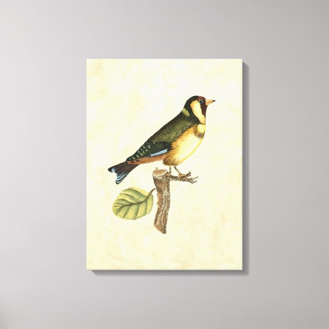 Yellow and Green Bird Perched on a Little Branch Canvas Print (Front)