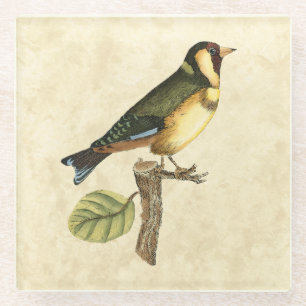 Yellow and Green Bird Perched on a Little Branch Glass Coaster
