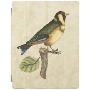 Yellow and Green Bird Perched on a Little Branch iPad Smart Cover