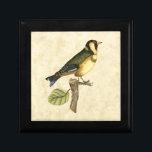 Yellow and Green Bird Perched on a Little Branch Jewelry Box<br><div class="desc">This engraved-inspired print displays sharp,  vivid images with a high degree of color accuracy. The neutral background helps emphasize the colors of the bird. Customize your favorite Zazzle product using this beautiful image.</div>