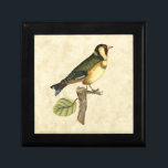 Yellow and Green Bird Perched on a Little Branch Jewelry Box<br><div class="desc">This engraved-inspired print displays sharp,  vivid images with a high degree of color accuracy. The neutral background helps emphasize the colors of the bird. Customize your favorite Zazzle product using this beautiful image.</div>
