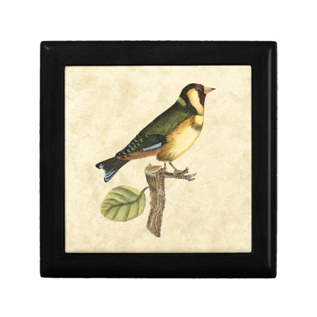 Yellow and Green Bird Perched on a Little Branch Jewelry Box (Front)