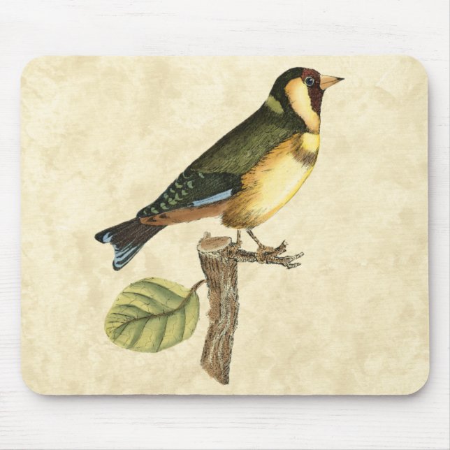 Yellow and Green Bird Perched on a Little Branch Mouse Pad (Front)