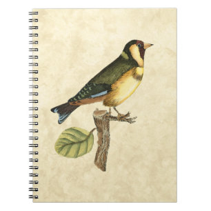 Yellow and Green Bird Perched on a Little Branch Notebook