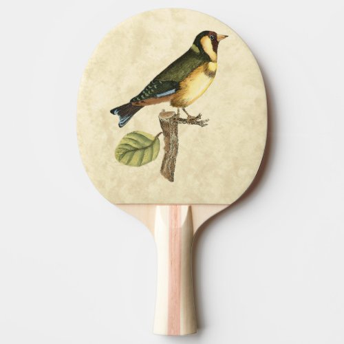 Yellow and Green Bird Perched on a Little Branch Ping Pong Paddle