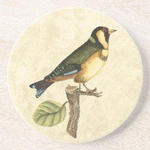 Yellow and Green Bird Perched on a Little Branch Sandstone Coaster