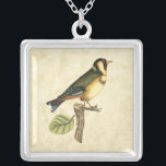 Yellow and Green Bird Perched on a Little Branch Silver Plated Necklace<br><div class="desc">This engraved-inspired print displays sharp,  vivid images with a high degree of color accuracy. The neutral background helps emphasize the colors of the bird. Customize your favorite Zazzle product using this beautiful image.</div>