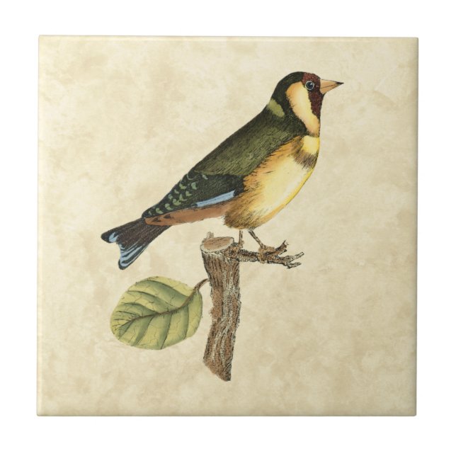 Yellow and Green Bird Perched on a Little Branch Tile (Front)
