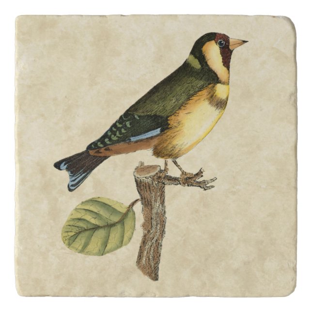 Yellow and Green Bird Perched on a Little Branch Trivet (Front)