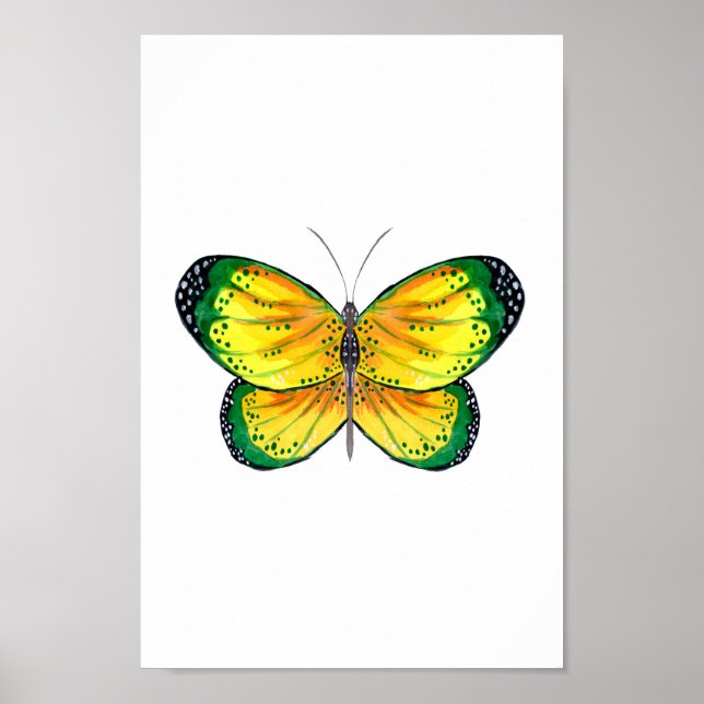 Yellow and Green Butterfly Poster (Front)