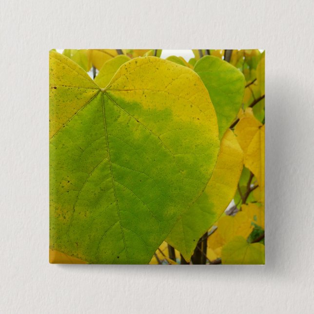 Yellow and Green Redbud Leaves Button (Front)