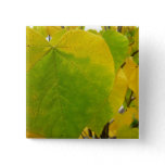 Yellow and Green Redbud Leaves Button