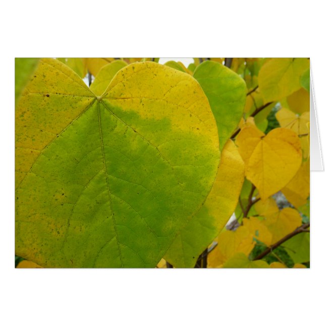 Yellow and Green Redbud Leaves Cards (Front Horizontal)