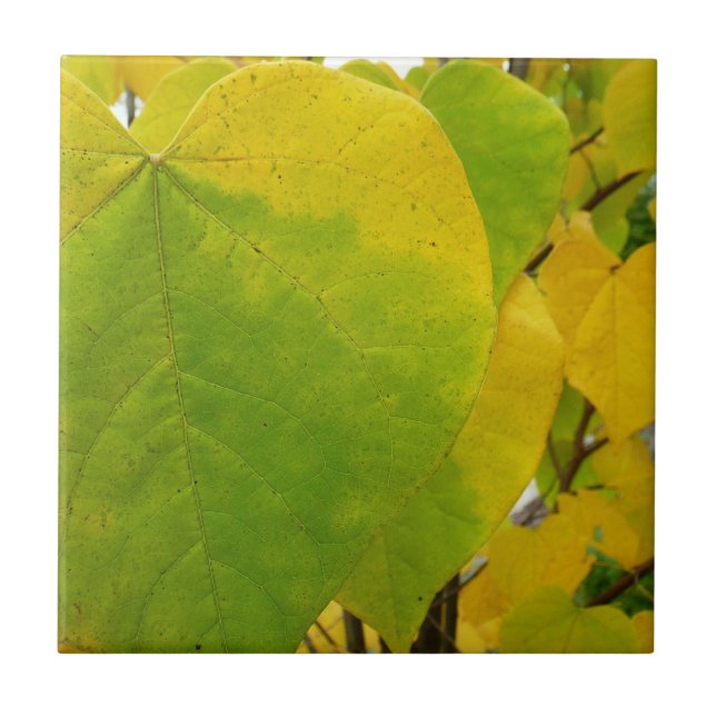 Yellow and Green Redbud Leaves Ceramic Tile (Front)