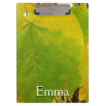 Yellow and Green Redbud Leaves Clipboard