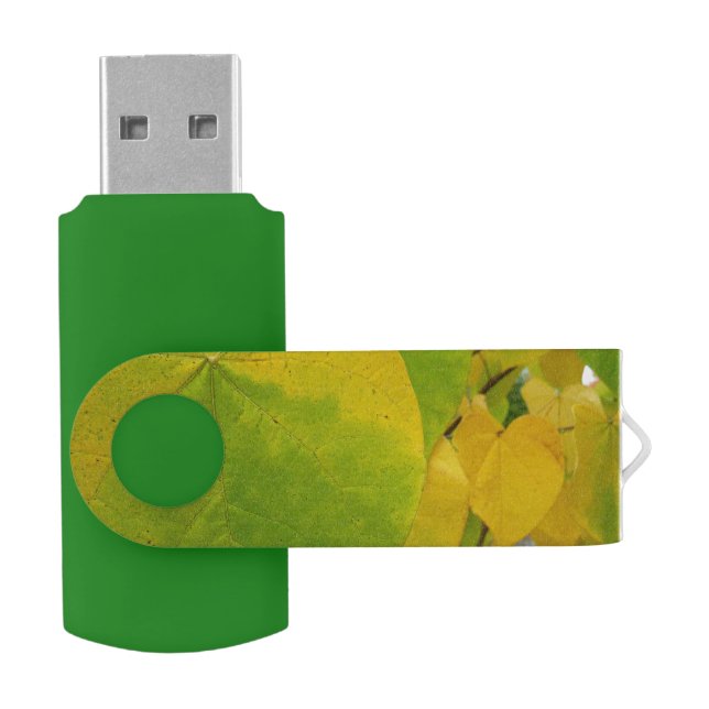 Yellow and Green Redbud Leaves Flash Drive (Opened)