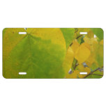 Yellow and Green Redbud Leaves License Plate