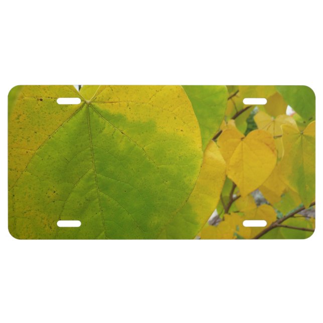 Yellow and Green Redbud Leaves License Plate (Front)