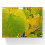 Yellow and Green Redbud Leaves Paperweight