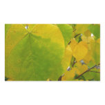 Yellow and Green Redbud Leaves Rectangular Sticker