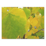 Yellow and Green Redbud Leaves Tissue Paper